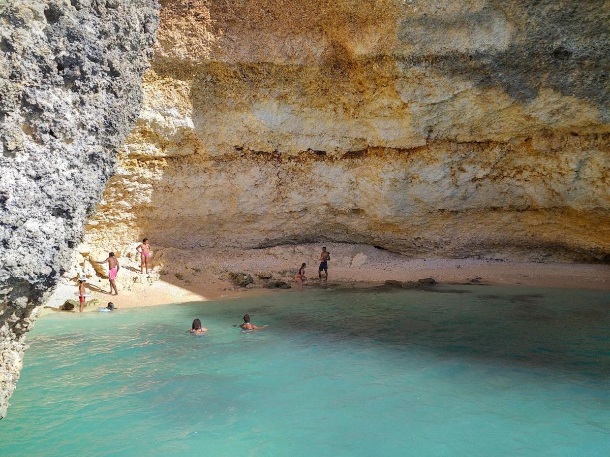 "Le Champs" Des Oiseaux Βίλα Anse-Bertrand Εξωτερικό φωτογραφία
